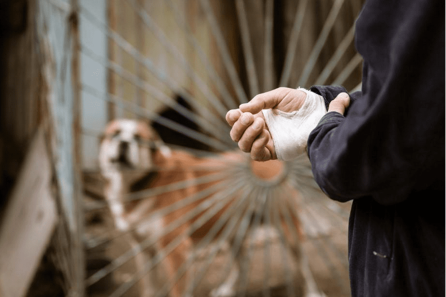 Man with bandaged hand, with dog in the background.
